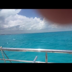 Meet your Posher, Holly